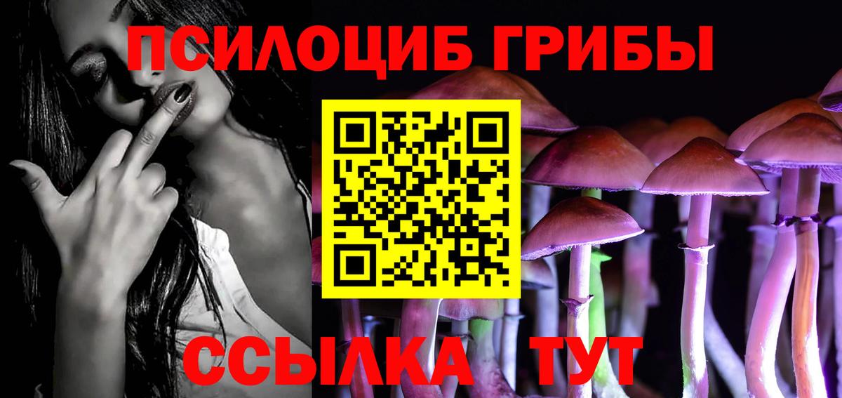 Псилоцибиновые грибы GOLDEN TEACHER Омск